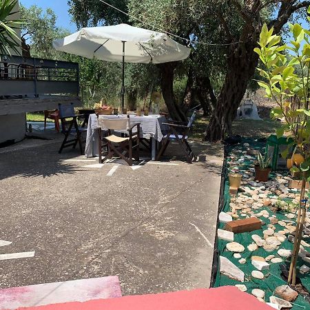 Cactus Suite Prínos Zewnętrze zdjęcie