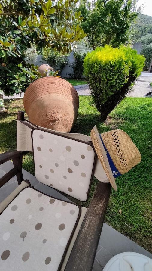 Cactus Suite Prínos Zewnętrze zdjęcie