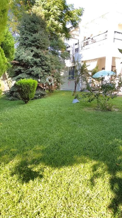 Cactus Suite Prínos Zewnętrze zdjęcie